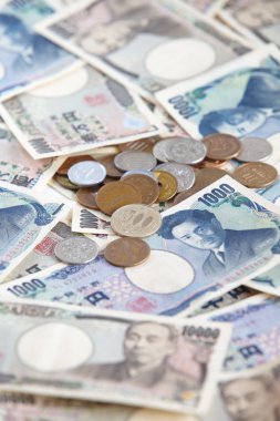 Japonca yen notları.