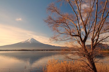 Kışın Fuji dağı