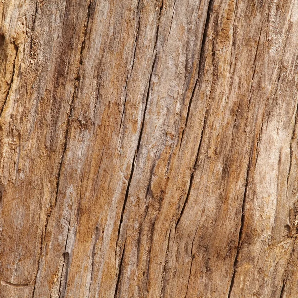 Textura de madeira — Fotografia de Stock