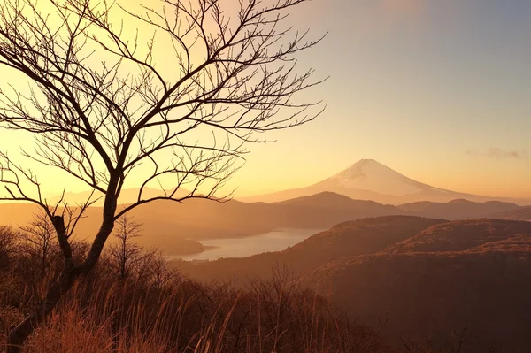 Góra fuji i ashi jezioro — Zdjęcie stockowe