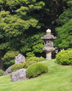 sonbahar ağaç orman 