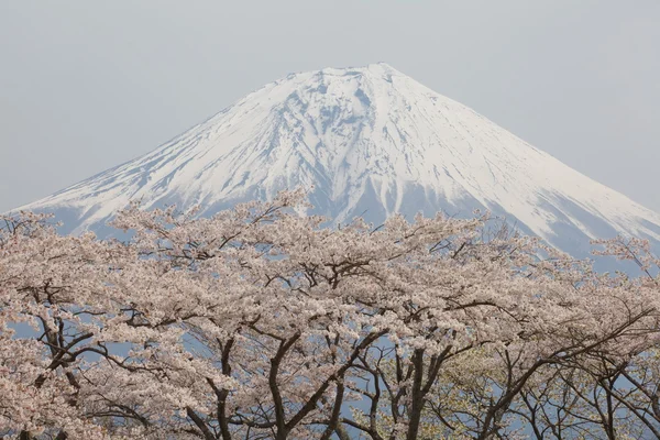 Montagne fuji en hiver — Photo