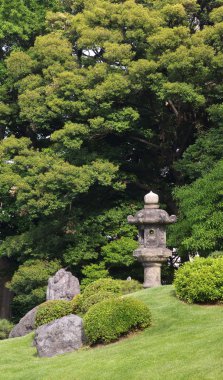 sonbahar ağaç orman 