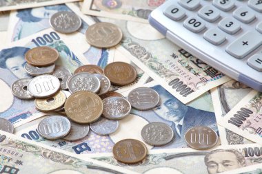 Japon yeni banknot ve madeni paraların