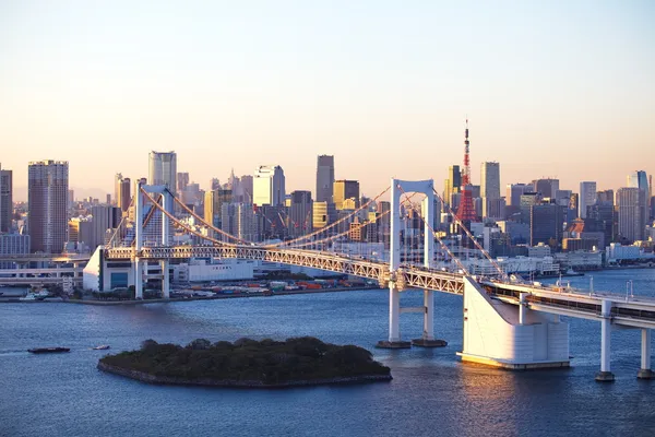 Pohled na město Tokio — 图库照片