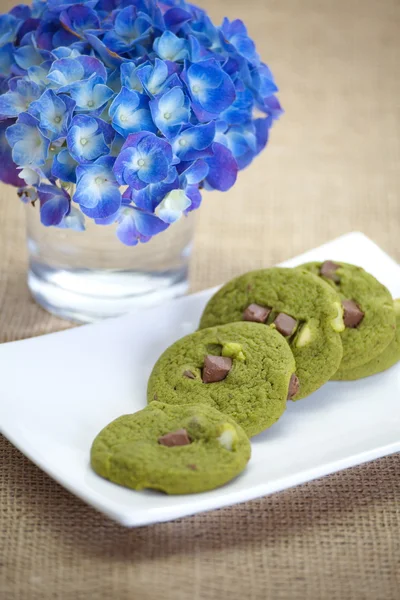 Galleta de té verde Maccha japonesa — Foto de Stock