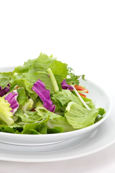 Groene vegatables salade — Stockfoto