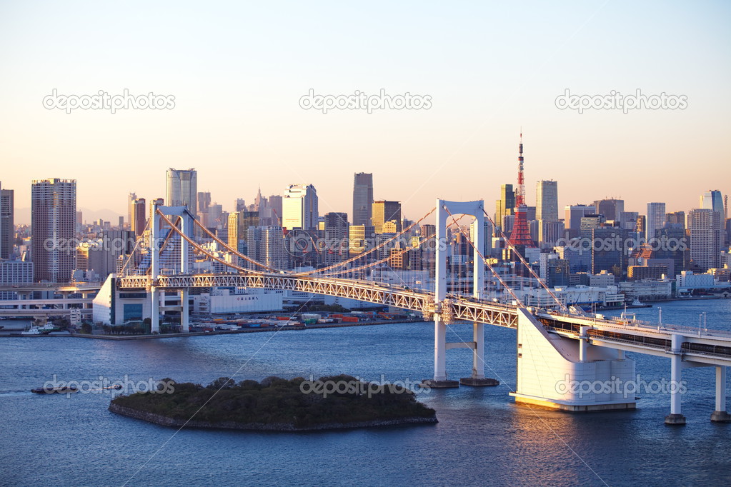 View of Tokyo city