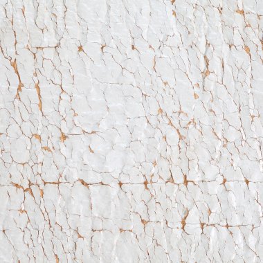 Taş arka plan doku. (Dolomit taş)