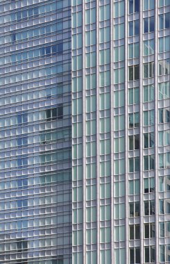 Hongkong konut binalarıyla
