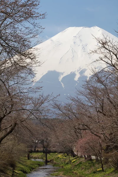 Montagne Fuji en saison hivernale — Photo