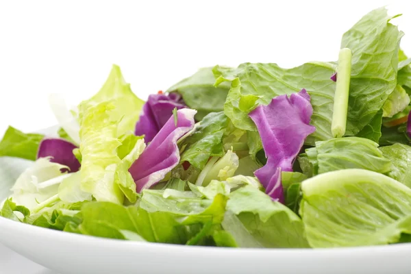 Green vegatables salad — Stock Photo, Image