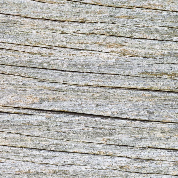 Texture of wood background — Stock Photo, Image