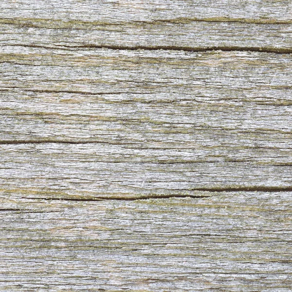 Texture of wood background — Stock Photo, Image