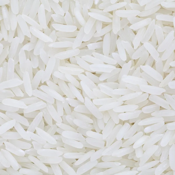 Азіатських білий рис — стокове фото