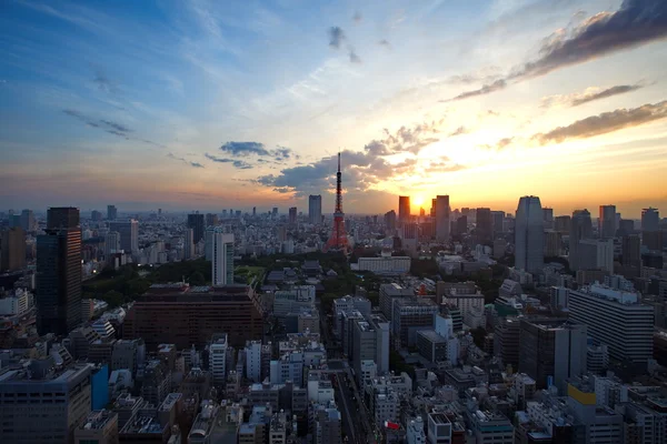 Veduta della città di Tokyo — Foto Stock