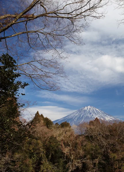 Berg fuji på vintern — Stockfoto