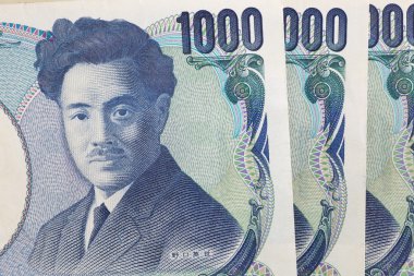 Japonca yen notları