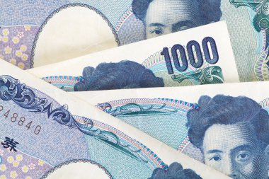 Japonca yen notları