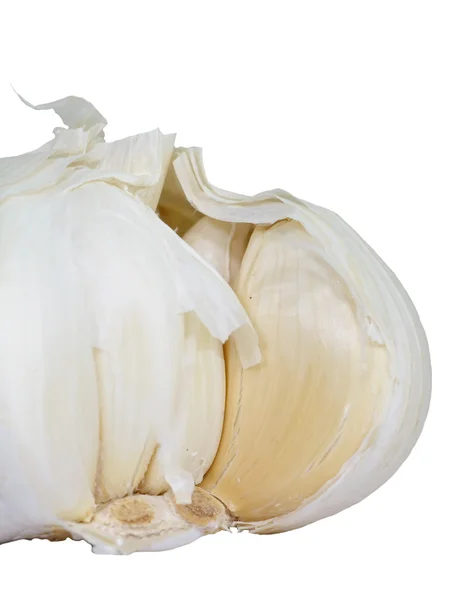 Frischer Knoblauch — Stockfoto