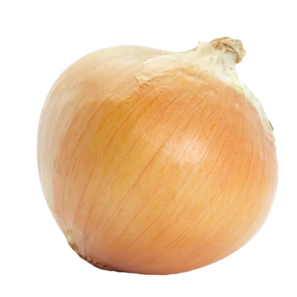 Fresh onion — Stock Photo, Image