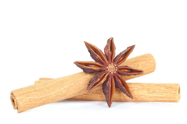 Anise dan cinnamon terisolasi — Stok Foto