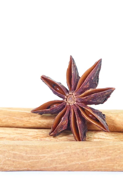 Anise dan cinnamon terisolasi — Stok Foto