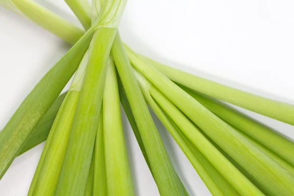 Cebolla de primavera —  Fotos de Stock