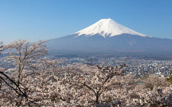 Montanha Fuji na temporada de inverno — Fotografia de Stock