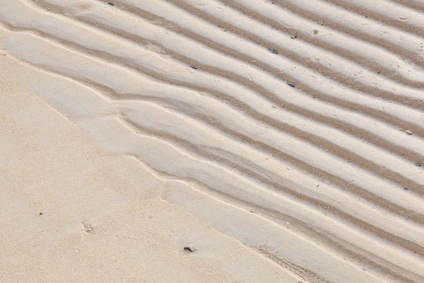 Barna homokos strand — Stock Fotó