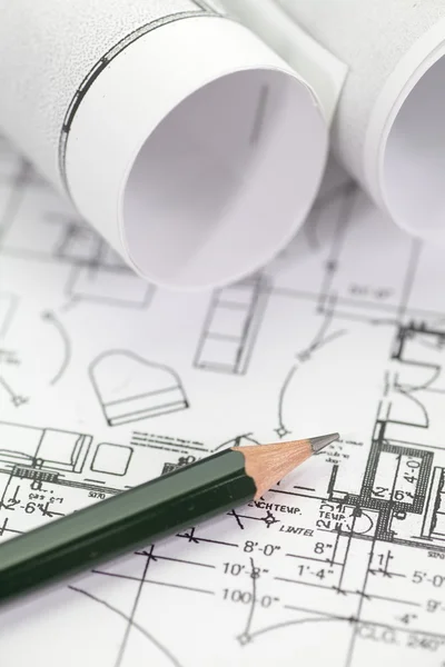 Architect rolls and plans — Stock Photo, Image