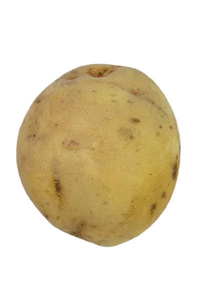 Fresh raw potato — Stock Photo, Image