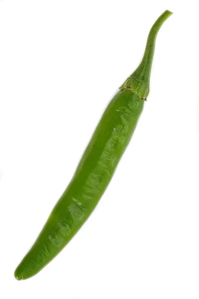 Groene chili peper — Stockfoto