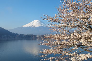 Kışın Fuji dağı