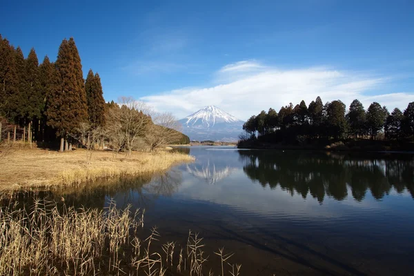 Kışın Fuji dağı — Stok fotoğraf