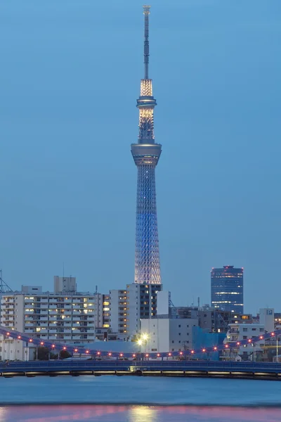 Ciel arbre de Tokyo — Photo