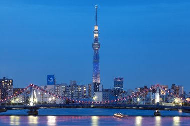 Tokyo Sky ağaç