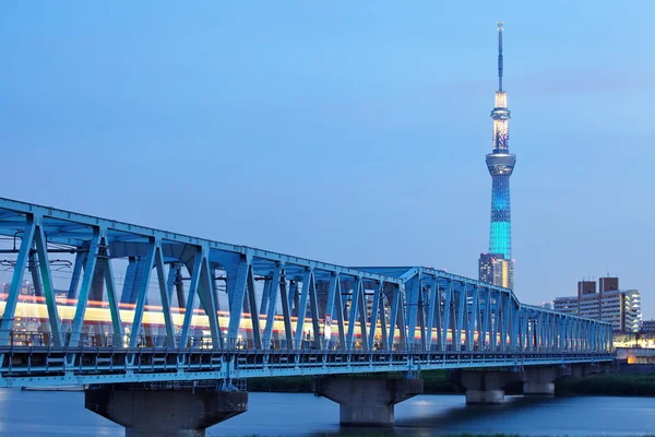 Tokyo-Himmelsbaum — Stockfoto