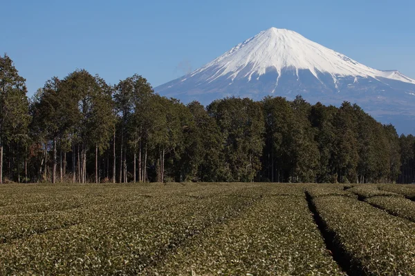 Montagne fuji en hiver — Photo