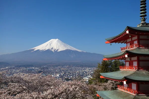 Berget fuji — Stockfoto