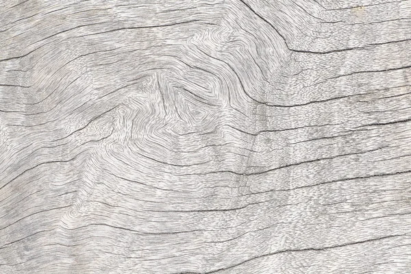 Біла деревина — стокове фото