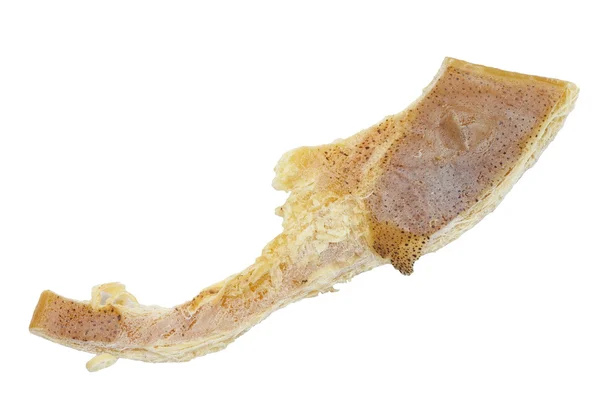 Вкусные сушеные кальмары — стоковое фото