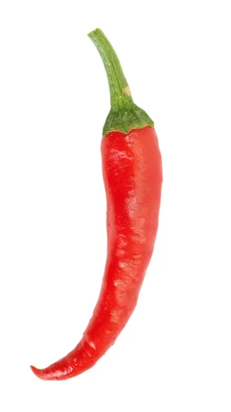 Rode chili peper — Stockfoto