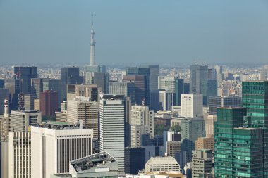 Tokyo cityscape