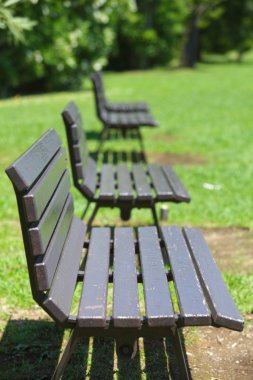 Kasık Park ahşap Bank