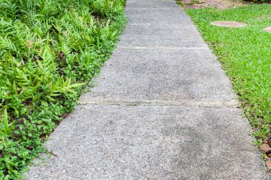 Yaz yeşil bahçesinde uzun beton yol