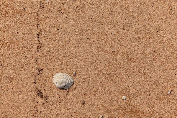 Tekstura Piasku Piaszczysta Plaża Dla Tła Widok Góry Naturalne Piasek — Zdjęcie stockowe