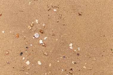 Kum dokusu. Arka plan için kumsal. Üst Manzara. Doğal kum taşı dokusu. Sahildeki kum arka planda. Yaz tasarımları için dalgalı kum arkaplanı