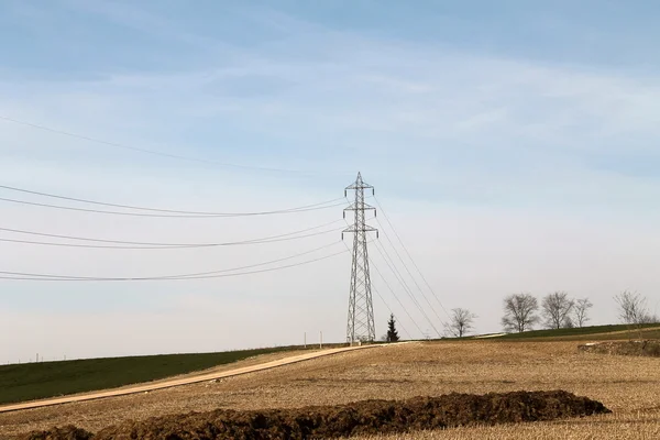 Feld mit Strommasten — Stockfoto