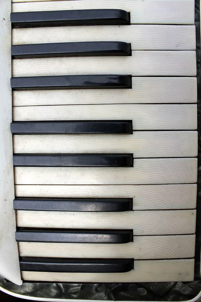 Keyboard-Akkordeon — Stockfoto